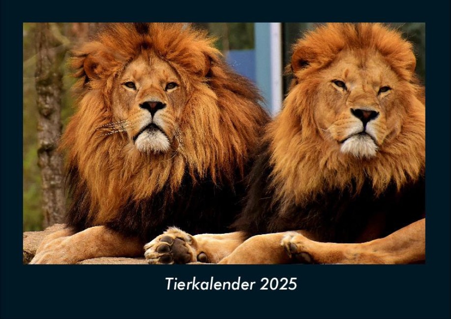 Tierkalender 2025 Fotokalender DIN A4 - Tobias Becker