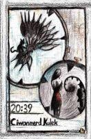 2039 - Ciwanmerd Kulek