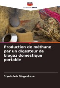 Cover-Bild zum Titel 'Production de méthane par un digesteur de biogaz domestique portable' von 'Siyabulela Mngxekeza'