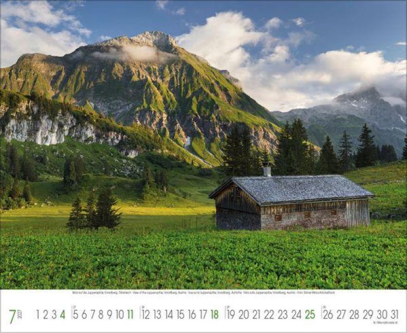 InsideView 7