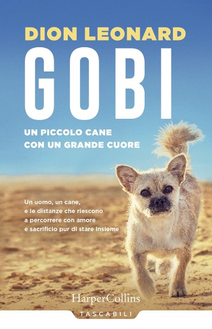 Gobi. Un piccolo cane con un grande cuore - Dion Leonard