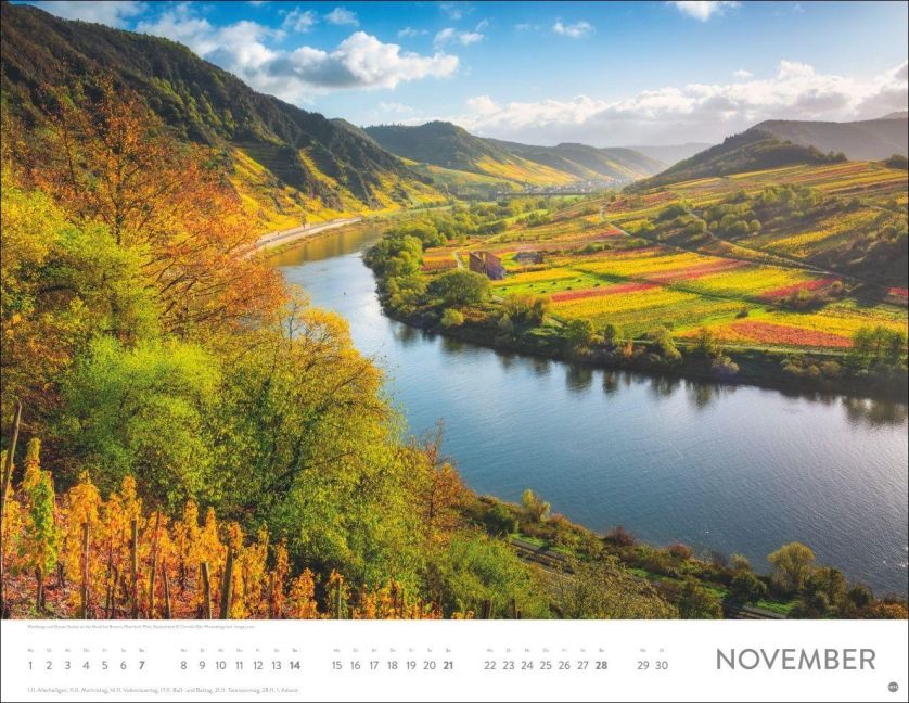 InsideView 11