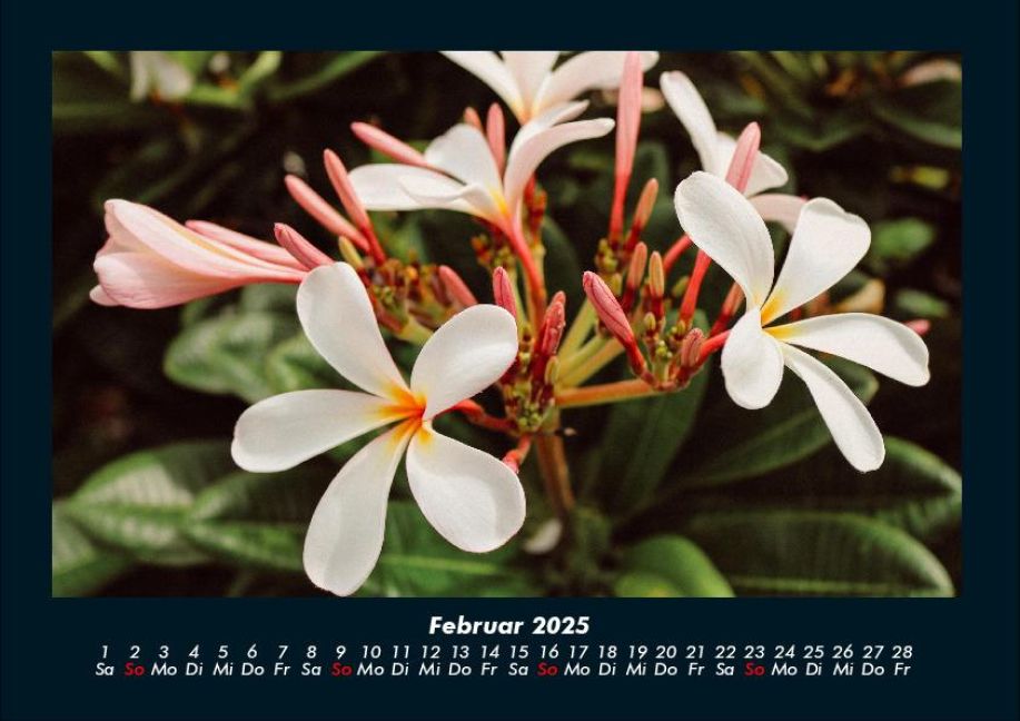 InsideView 6