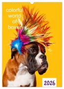 Cover-Bild zum Titel 'colorful world of boxer 2026 (Wandkalender 2026 DIN A3 hoch), CALVENDO Monatskalender' von 'Kerstin Mielke'