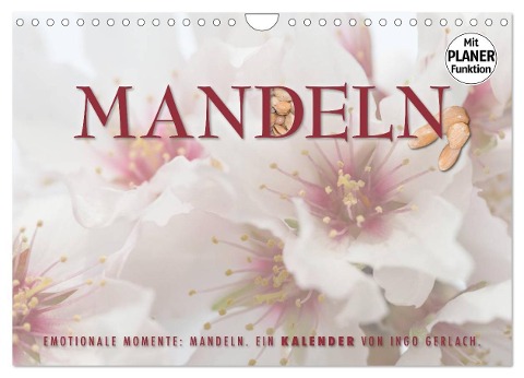 Emotionale Momente: Mandeln (Wandkalender 2025 DIN A4 quer), CALVENDO Monatskalender - Ingo Gerlach