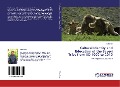 Cover-Bild zum Titel 'Cultural Identity and Education of the Bayeyi Tribe from AD 1000 to 2010' von 'Sitali Brian'