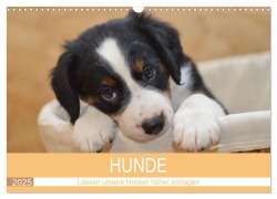 HUNDE - Lassen unsere Herzen höher schlagen (Wandkalender 2025 DIN A3 quer), CALVENDO Monatskalender - Sabine Hampe-Neves