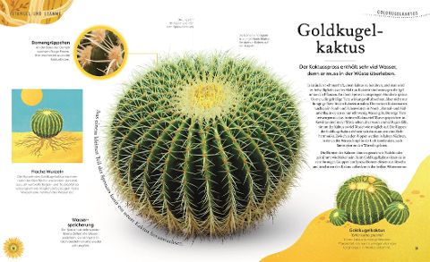 InsideView 3