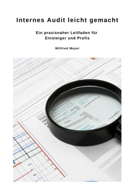 Internes Audit leicht gemacht - Wilfried Meyer