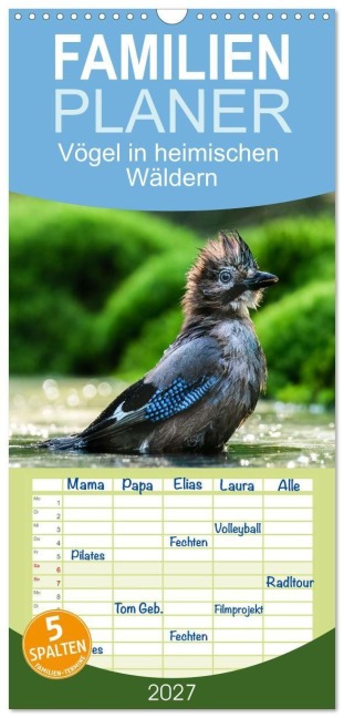 Familienplaner 2027 - Vögel in heimischen Wäldern mit 5 Spalten (Wandkalender, 21 x 45 cm) CALVENDO - Nicole Gießmann-Keller