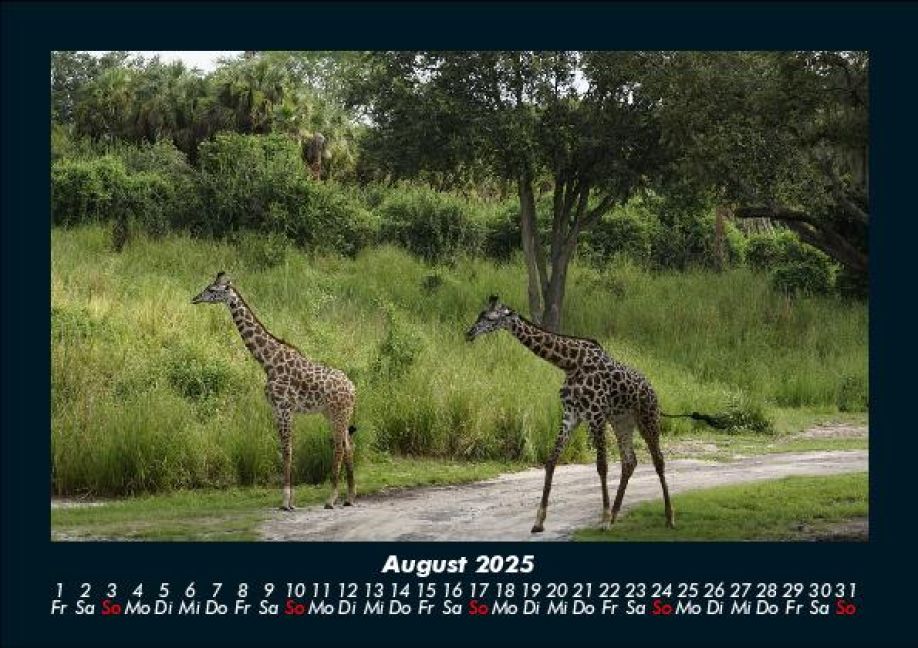 InsideView 12