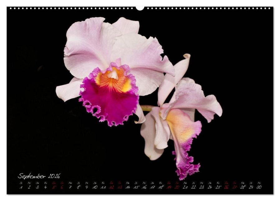 InsideView 13