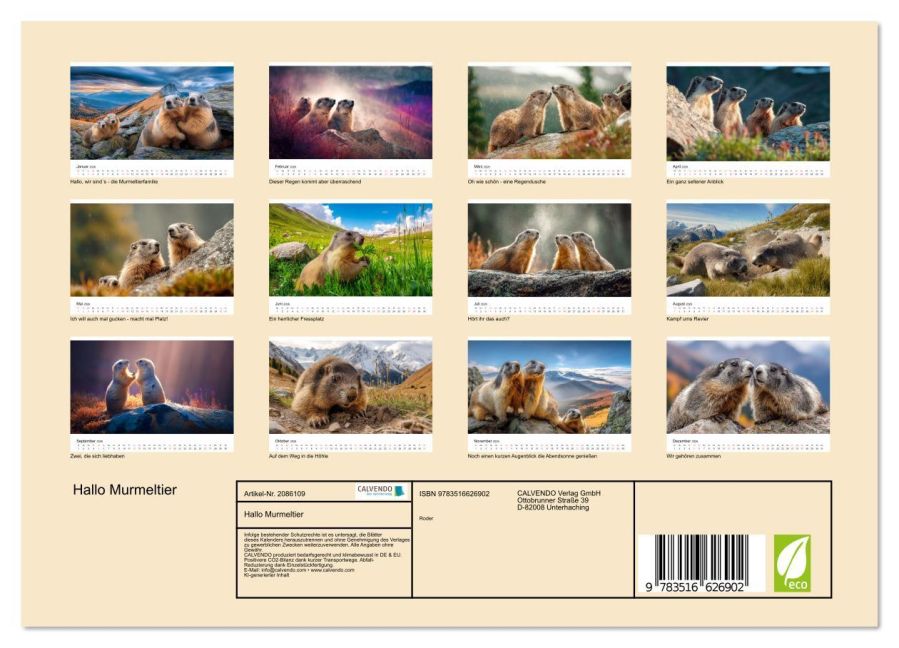 InsideView 5