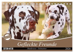 Gefleckte Freunde - Hunderasse Dalmatiner (Tischkalender 2026 DIN A5 quer), CALVENDO Monatskalender - Barbara Mielewczyk