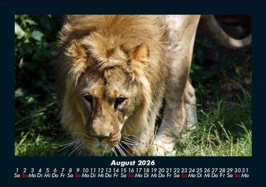 InsideView 12
