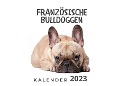 Französische Bulldoggen - Bibi Hübsch