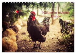 Cover-Bild zum Titel 'Hühner in meinem Garten (Wandkalender 2026 DIN A3 quer), CALVENDO Monatskalender' von 'Manuela Meyer'