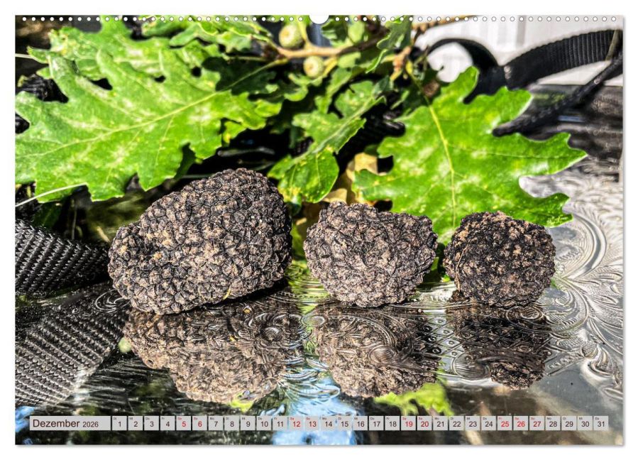 InsideView 4