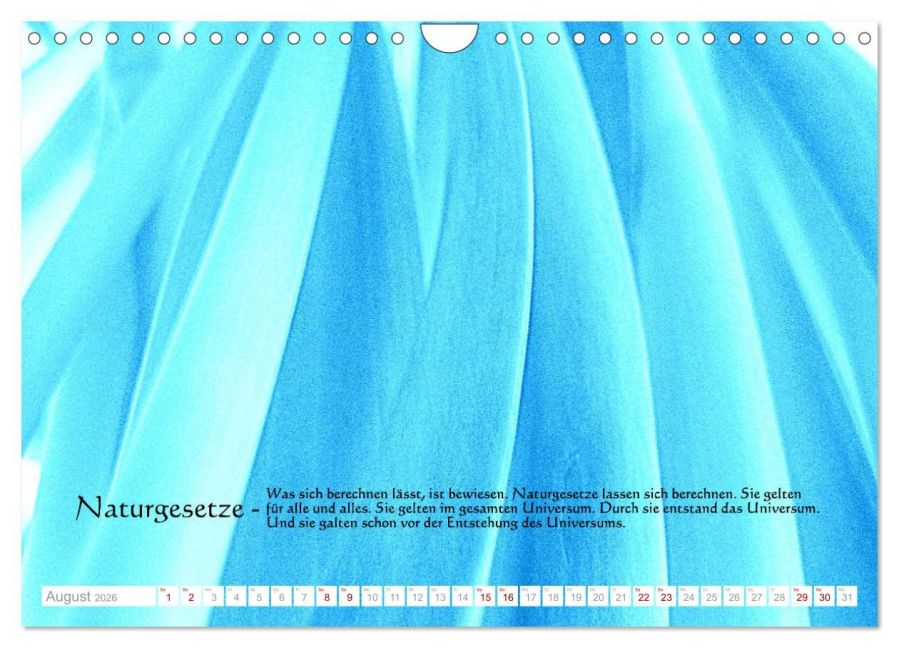 InsideView 13