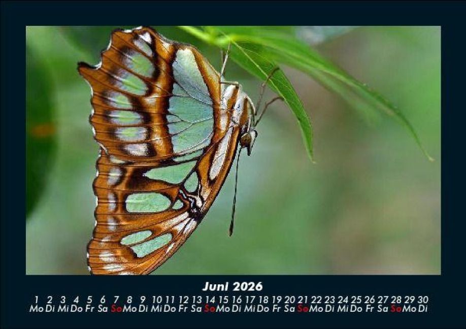 InsideView 10