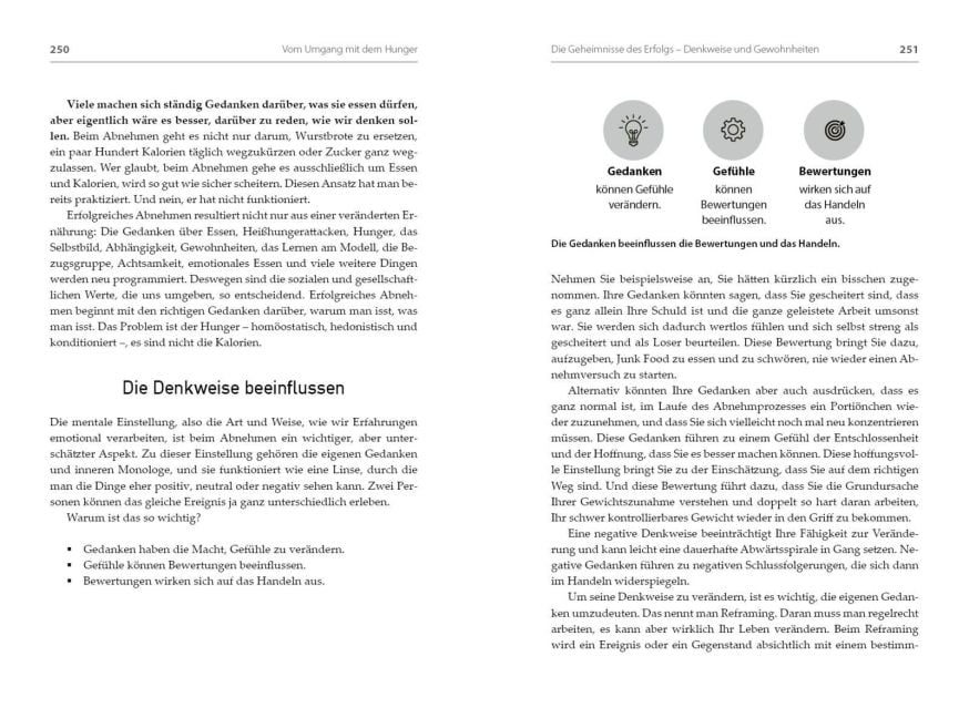 InsideView 5