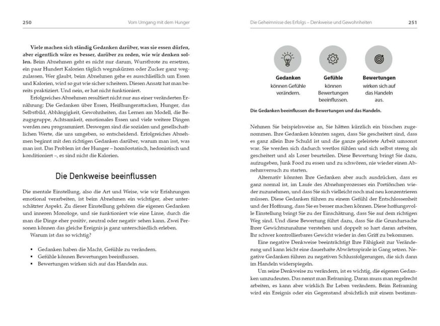InsideView 5