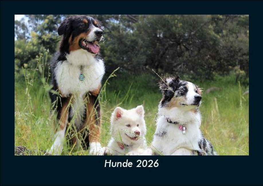 Hunde 2026 Fotokalender DIN A5 - Tobias Becker