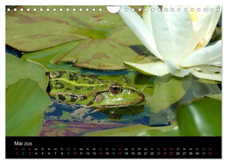 InsideView 10