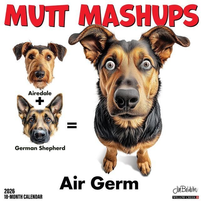 Mutt Mashups 2026 12 X 12 Wall Calendar -