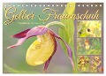 Gelber Frauenschuh (Tischkalender 2024 DIN A5 quer), CALVENDO Monatskalender - Sabine Löwer