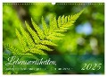 Lebensweisheiten, motivierende Sprüche und kluge Zitate mit Bildern der Natur (Wandkalender 2025 DIN A3 quer), CALVENDO Monatskalender - Angela Rohde