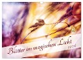 Blätter im magischen Licht (Wandkalender 2024 DIN A3 quer), CALVENDO Monatskalender - Nicc Koch