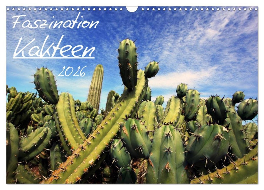 Faszination Kakteen (Wandkalender 2026 DIN A3 quer), CALVENDO Monatskalender - R. Gue. R. Gue.