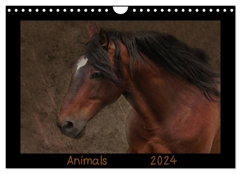 Animals (Wandkalender 2024 DIN A4 quer), CALVENDO Monatskalender - Claudia Möckel Lucy L!u