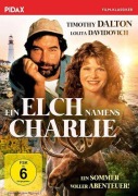 Cover-Bild zum Titel 'Ein Elch namens Charlie' von 'Bruce McKenna, Paul Zaza'