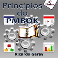 Cover-Bild zum Titel 'Princípios do PMBOK' von 'Ricardo Garay'