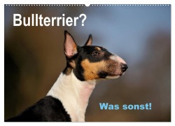Bullterrier? Was sonst! (Wandkalender 2026 DIN A2 quer), CALVENDO Monatskalender - Yvonne Janetzek