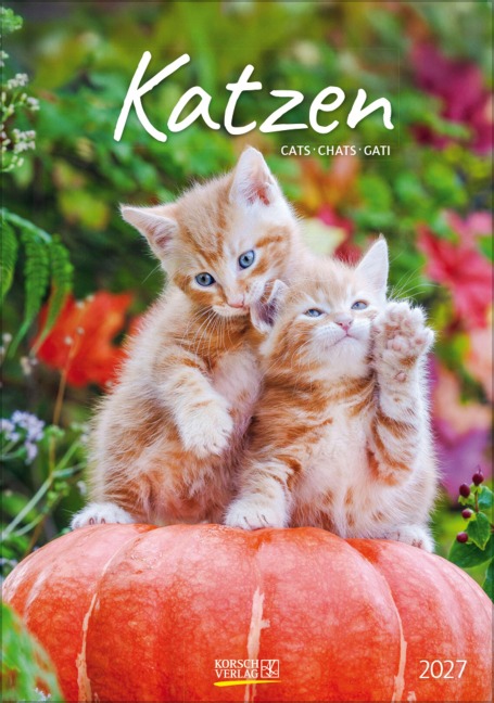 Katzen 2027 - 