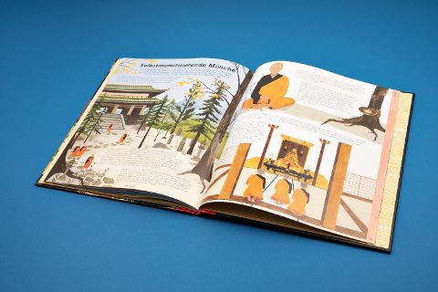 InsideView 6