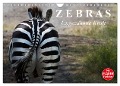Zebras - Ungezähmte Kraft (Wandkalender 2025 DIN A4 quer), CALVENDO Monatskalender - Elisabeth Stanzer