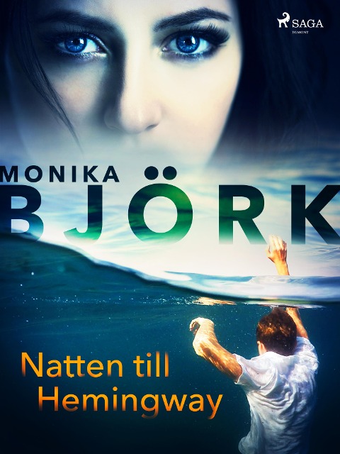 Natten till Hemingway - Monika Björk