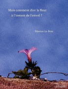 Cover-Bild zum Titel 'Mais comment dire la fleur à l'instant de l'envol ?' von 'Marion Le Braz'