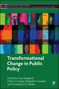 Cover-Bild zum Titel 'Transformational Change in Public Policy' von ''