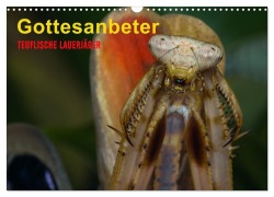 Cover-Bild zum Titel 'Gottesanbeter - Teuflische Lauerjäger (Wandkalender 2026 DIN A3 quer), CALVENDO Monatskalender' von 'Alfred Preuss'