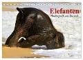 Elefanten. Badespaß am Strand (Tischkalender 2025 DIN A5 quer), CALVENDO Monatskalender - Elisabeth Stanzer
