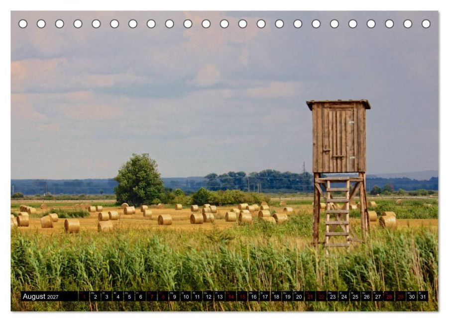 InsideView 13