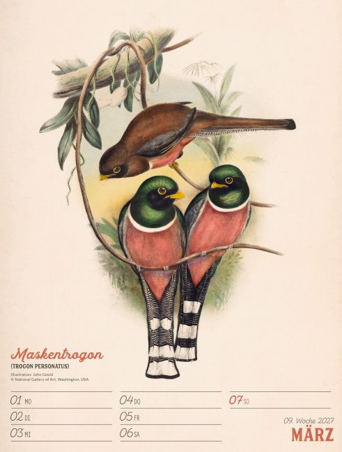 InsideView 13