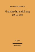 Cover-Bild zum Titel 'Grundrechtsentfaltung im Gesetz' von 'Matthias Jestaedt'