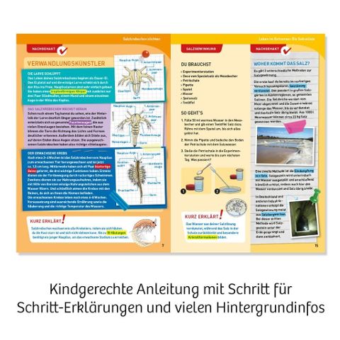 InsideView 4