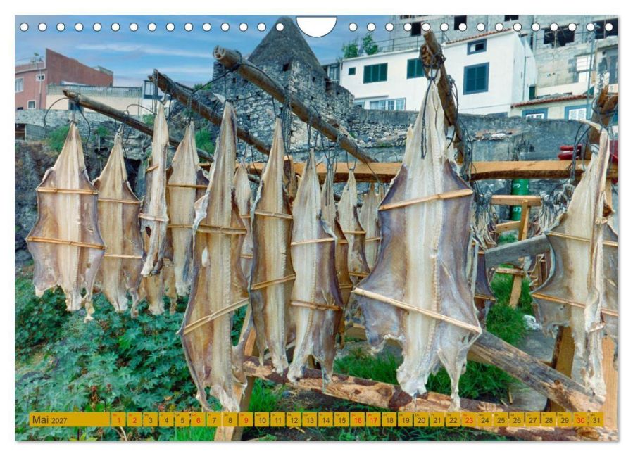 InsideView 10